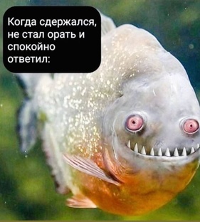 Всякое моральное и наоборот 