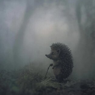 Как устроена память: Почему мы забываем и как это исправить 