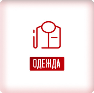 Одежда