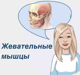 Желательные мышцы 