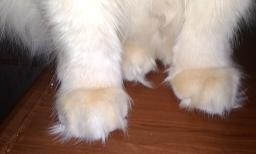 Внеклассное чтение