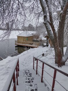 Пчелы