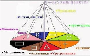 Векторная психология