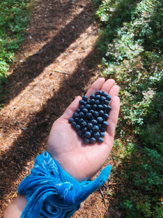 Карельский уикэнд