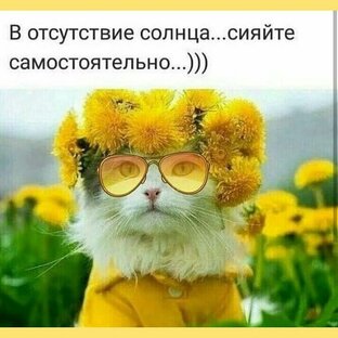 ОГЭ. Задания 6 - го типа