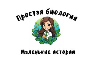 Маленькие истории