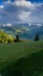 МИР КРАСОТЫ