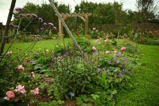 Наш сад - планы и процесс создания (премиум)