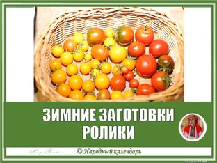 ЗИМНИЕ ЗАГОТОВКИ: РОЛИКИ