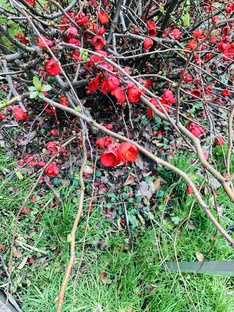 Лето-это маленькая жизнь… 