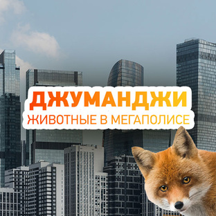 Джуманджи. Животные в мегаполисе