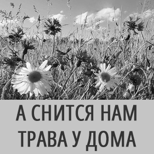 А снится нам трава у дома