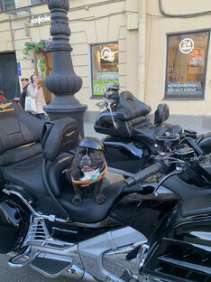 Французский байкер🏍️