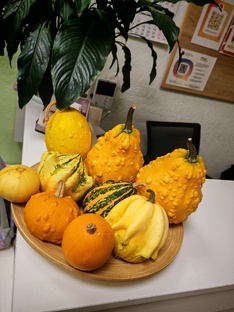 Октябрь во всей своей красе