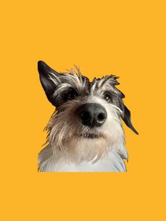 Программирование