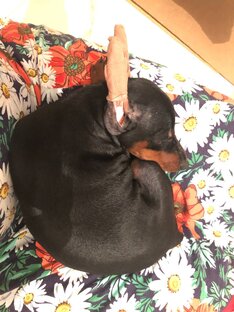 На руках у мамы..