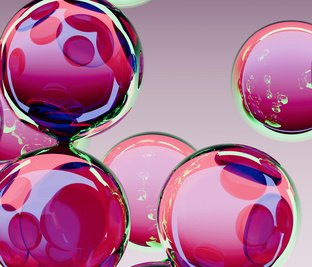 Физиология