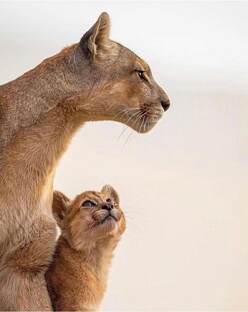 Как прекрасен этот мир. 