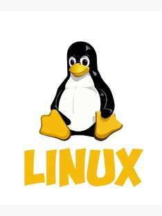 Основы Linux 