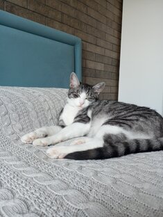 Все ролики тут👆👆👆👆👆👆👆