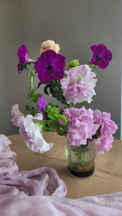 Цветы на моём балконе