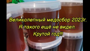 Зимовка пчел