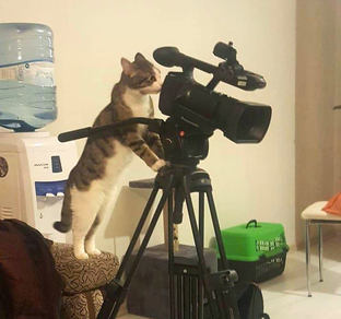 Кинотерапия
