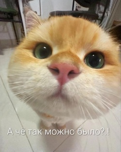 Выгорание и работа: когда пора что-то менять