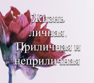 Жизнь личная. Приличная и неприличная.