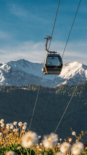 Курорт РОЗА ХУТОР