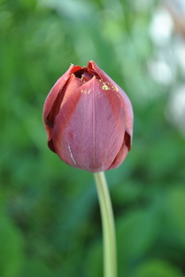 КЛУБ "БАБИЙ ВЕК"