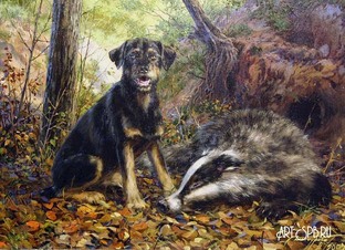Очерки и рассказы об охоте