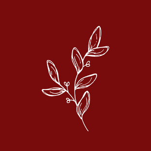 Вопрос-ответ