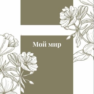Мой мир