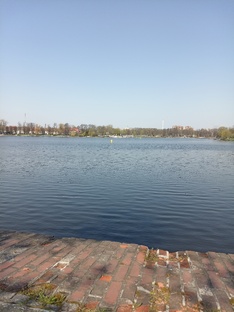 Сельская Жизнь