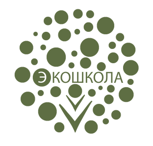 Наши первые экологические шаги