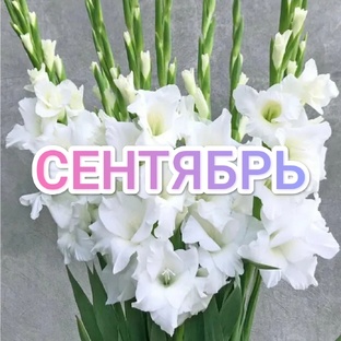 Лунный календарь на Сентябрь 2025г 