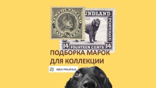 Подборка для коллекции