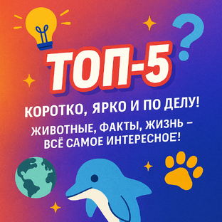 ТОП-5