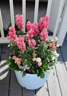 Красивые цветущие растения: радость и аромат в доме