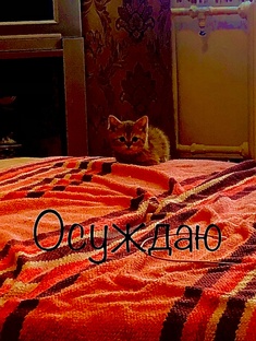 Для читателей драконьей саги 