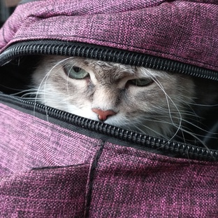 Входим в 2025 год