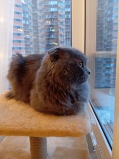 Есть или не есть? 