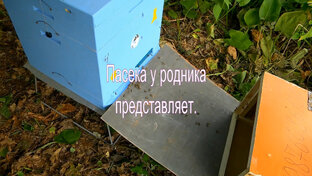 Роеловство