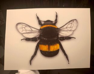 Композиции