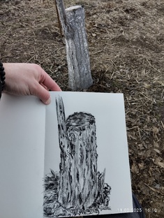 зарисовки с натуры