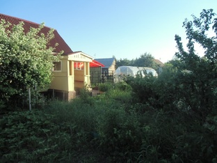 Дача, Кухня, Кошки