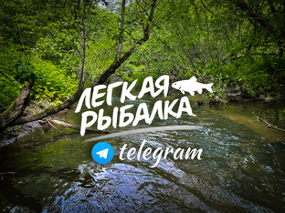 ПОДПИСЫВАЙТЕСЬ на ТГ