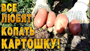 Жизнь трубача