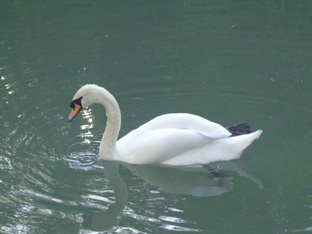 Ликбез по возвышению